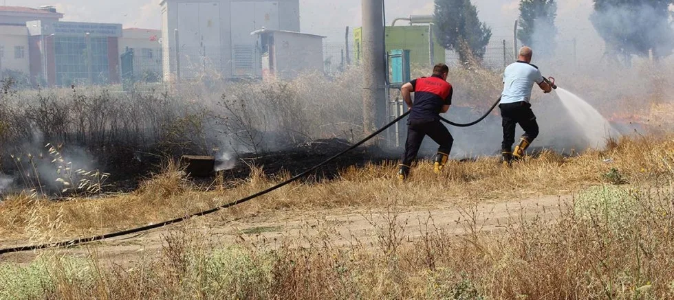 Tele Çarpan Kuş Yangın Çıkardı