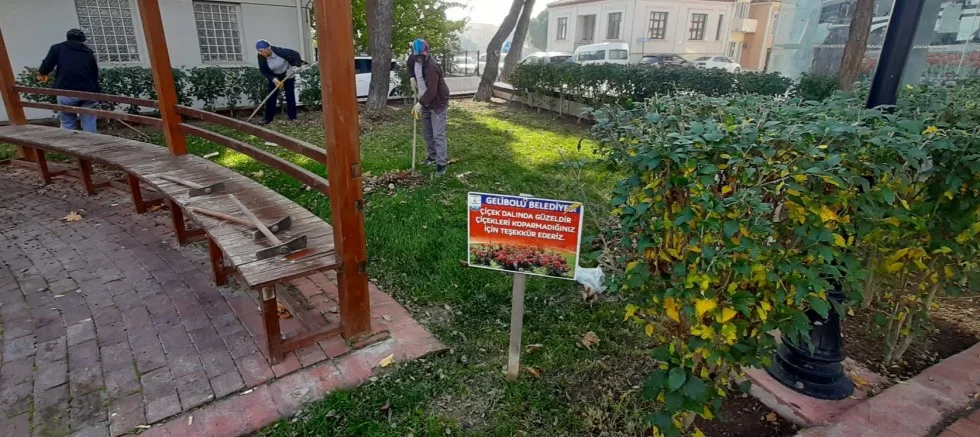 Yeşil Alanların Bakımı Yapılıyor