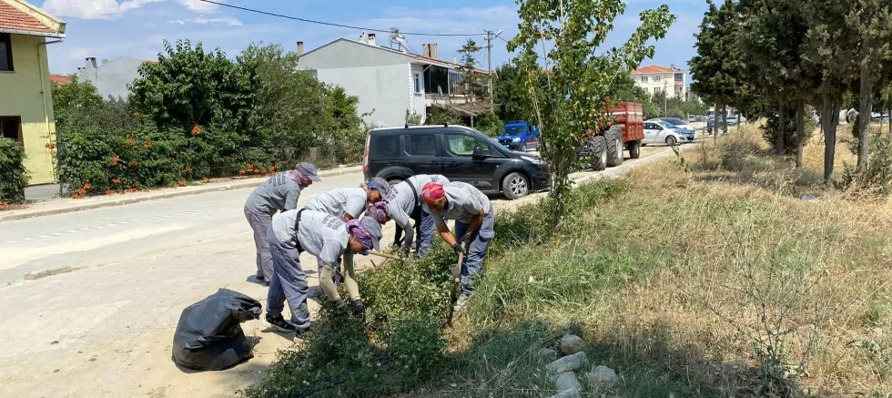 Yeşil Alanların Bakımları Yapılıyor
