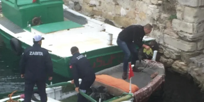 Zabıta, İç Limana Düşen Kediyi Kurtardı